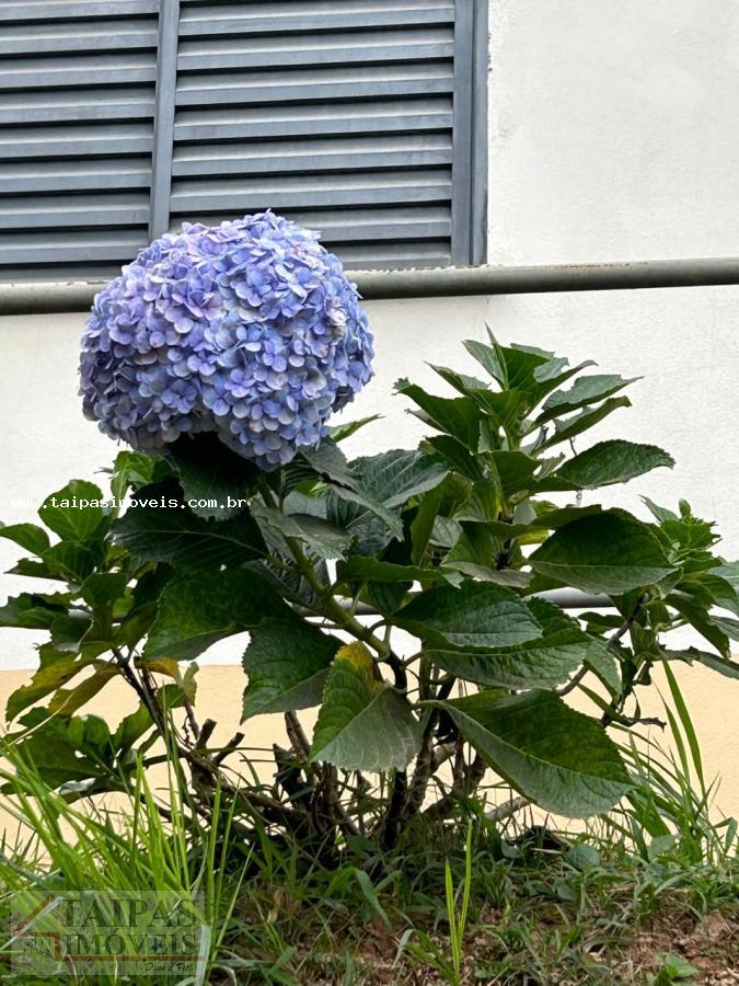 Apartamento, 2 quartos - Foto 20